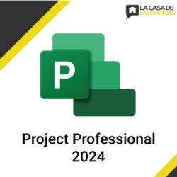 Project Professional 2024